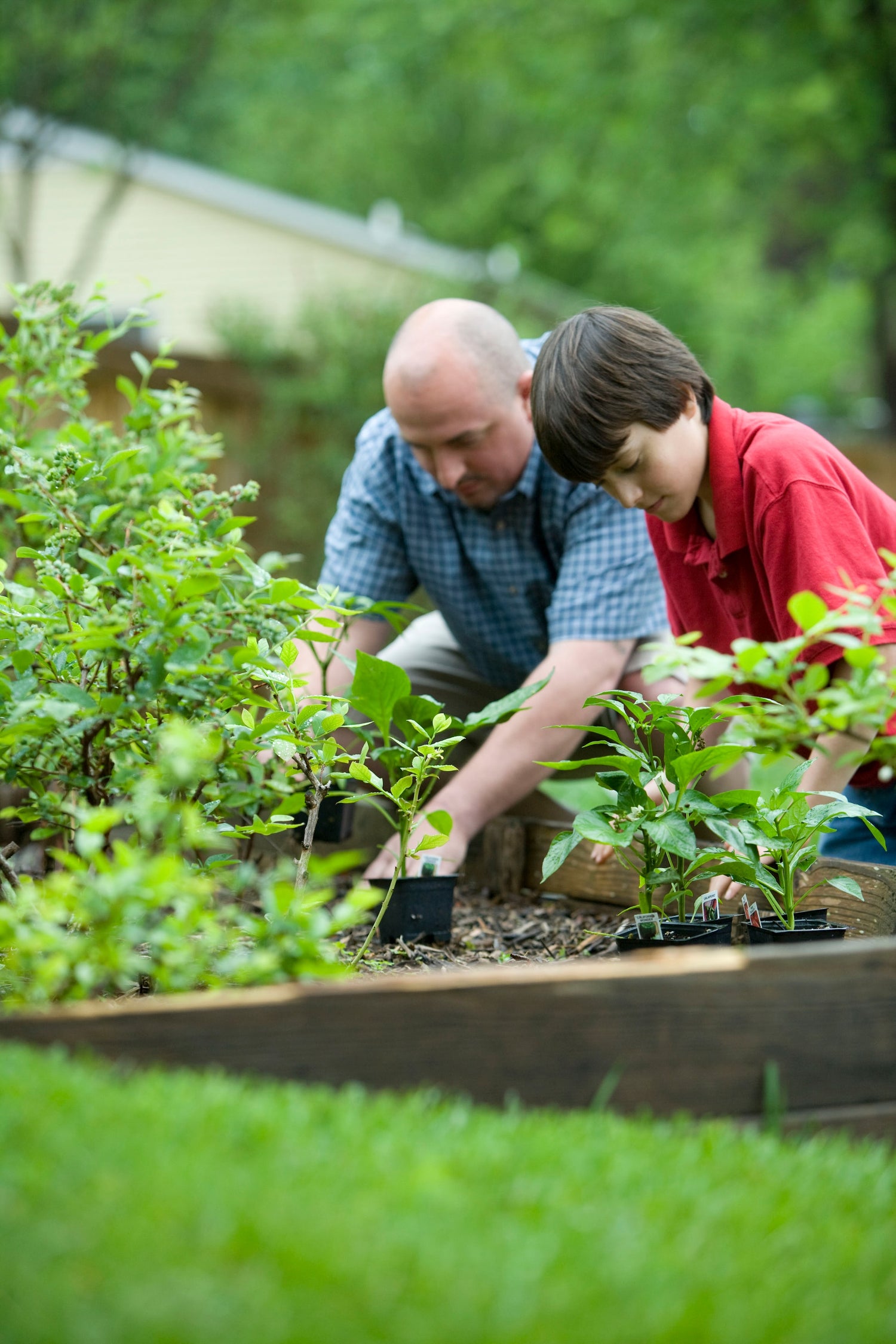 Gardening