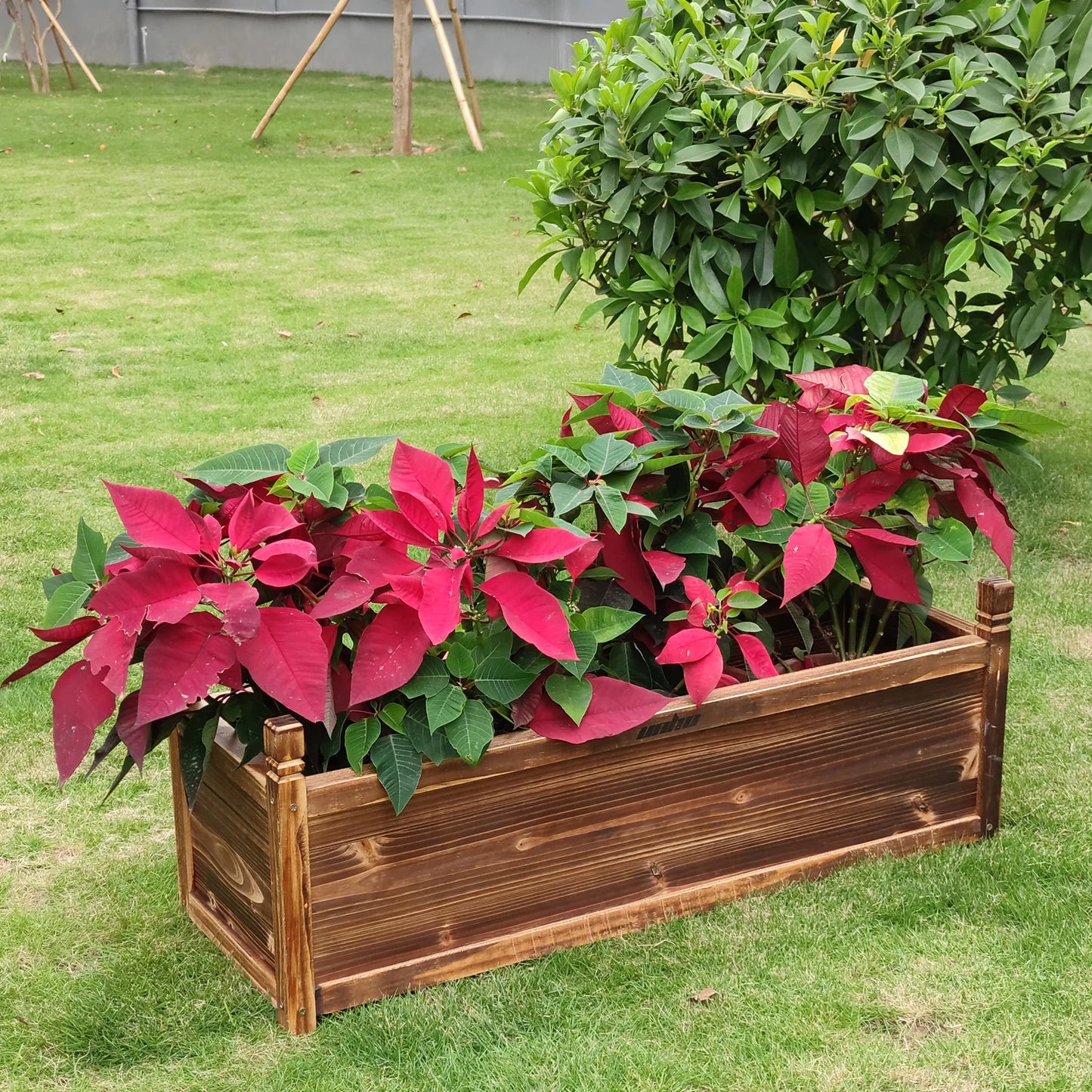 Raised Garden Bed Flower or Vegetable Planter; Window Mounted Plant Box for Garden; Yard Wood Box for Planting