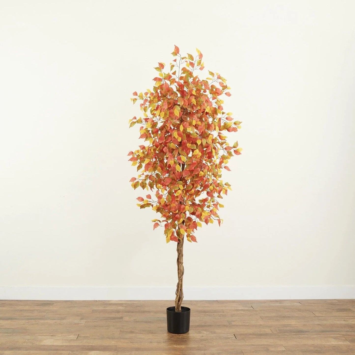 US 7’ Autumn Ficus Tree / Home Decor.