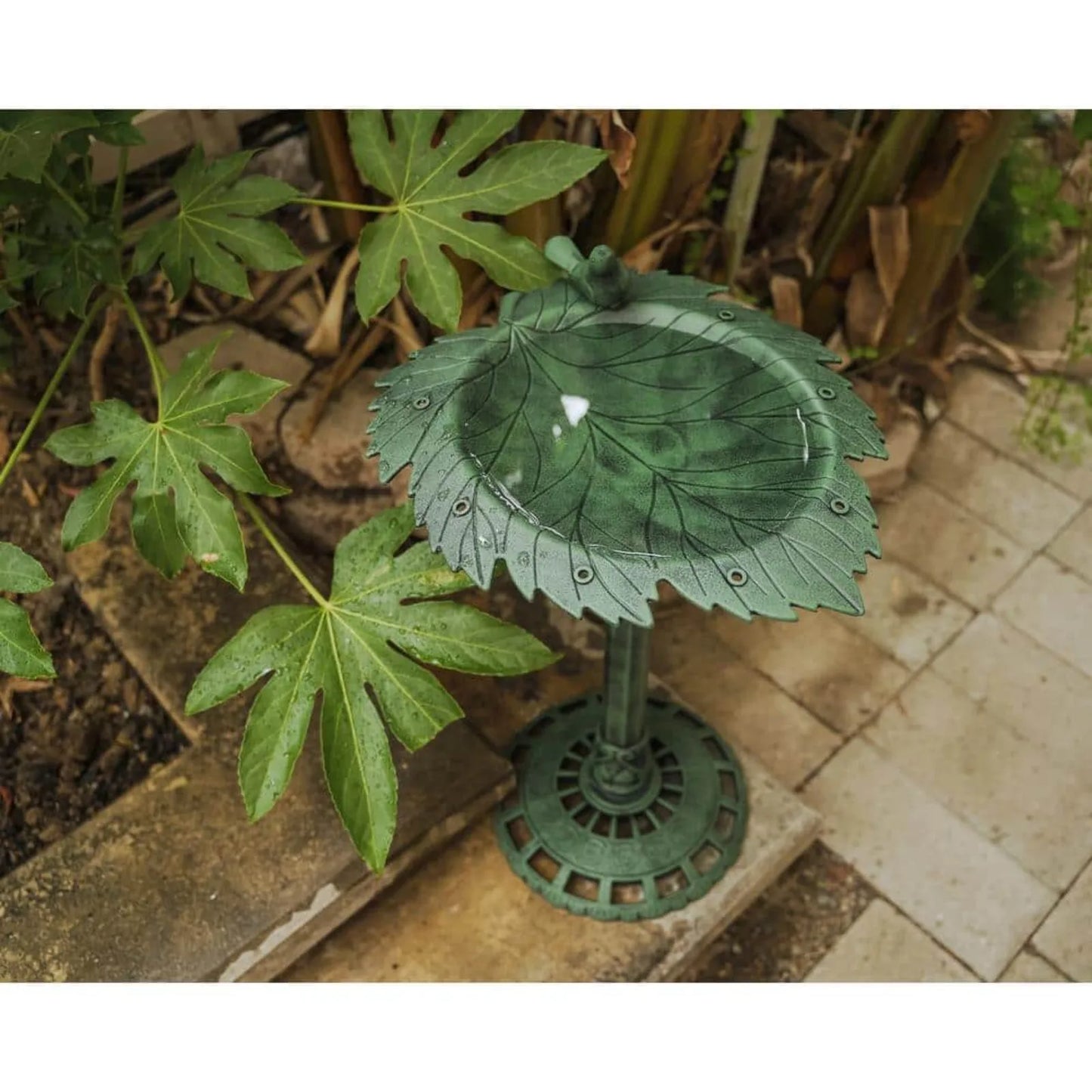 35 in. Tall Plastic Green Lightweight Leaf Design Birdbath and Birdfeeder