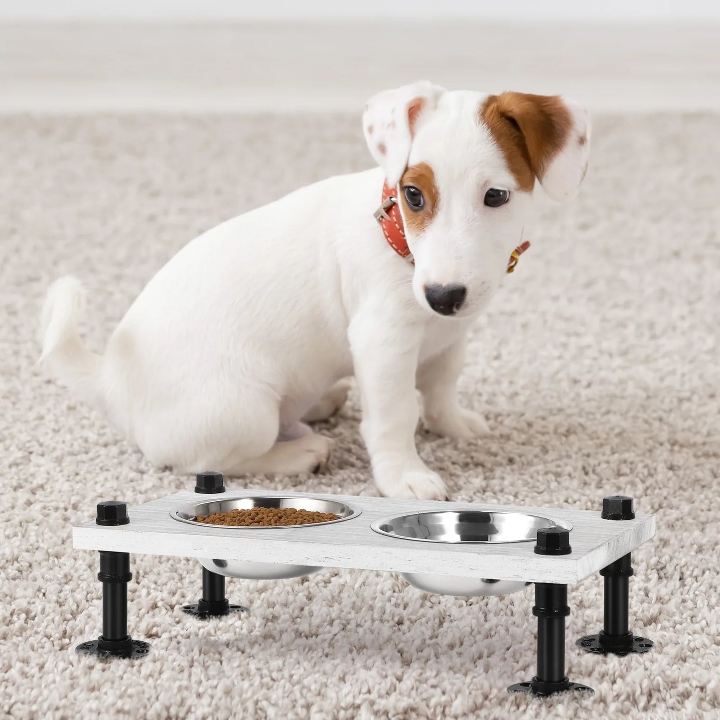 Raised Dog Bowl Stand with 2 Stainless Steel Bowls with Non-Slip Base and Wooden Surface